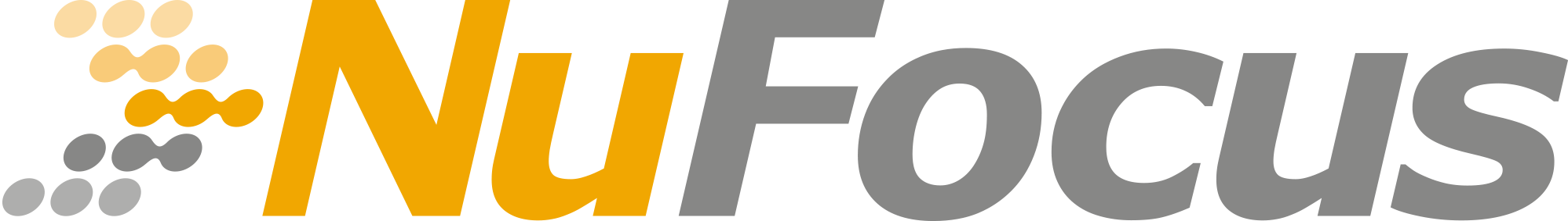 NuFocus Strategic Group Logo